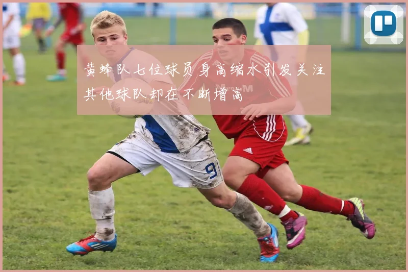 黄蜂队七位球员身高缩水引发关注其他球队却在不断增高