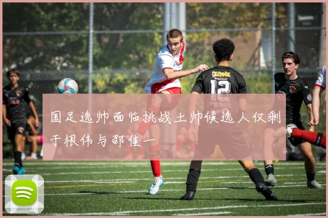 国足选帅面临挑战土帅候选人仅剩于根伟与邵佳一
