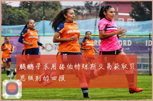 鹈鹕寻求用赫伯特琼斯交易获取贝恩级别的回报