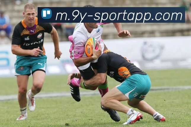 数据防护可视化